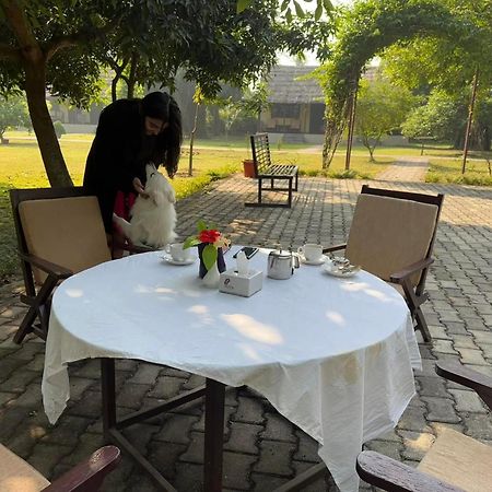 Lumbini Buddha Garden Resort Eksteriør billede