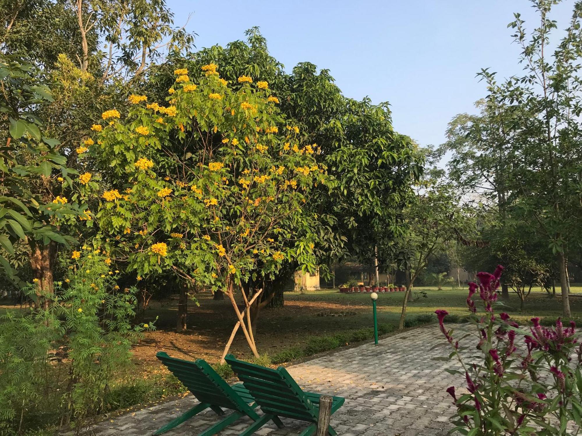 Lumbini Buddha Garden Resort Eksteriør billede