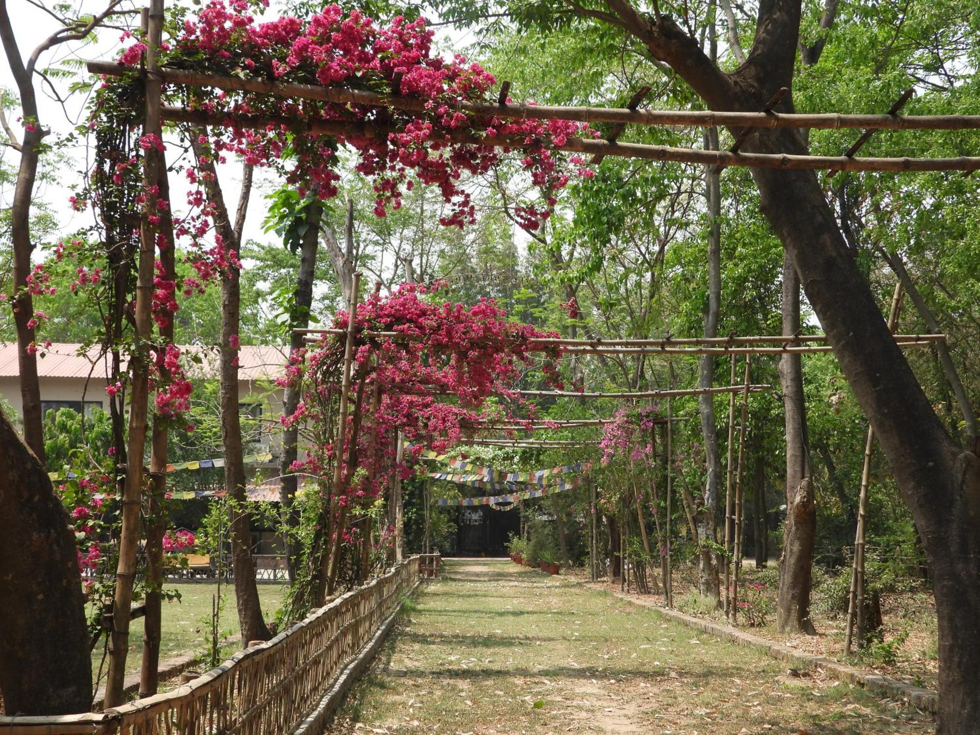 Lumbini Buddha Garden Resort Eksteriør billede